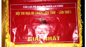 Giải nhất LT Lai Châu
