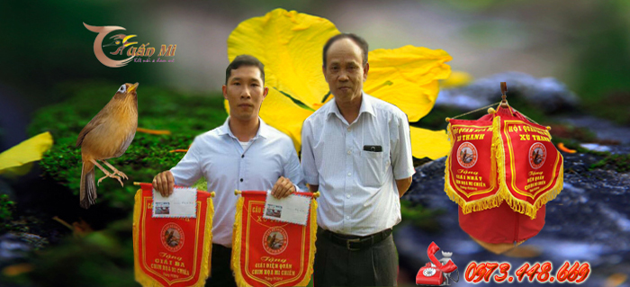 Giải thưởng