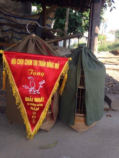 ĐẠI LÝ CÁM TUẤN MI TẠI HUYỆN HÀ QUẢNG – TỈNH CAO BẰNG
