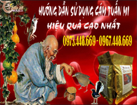 HDSD CÁM TUẤN MI HIỆU QUẢ CAO