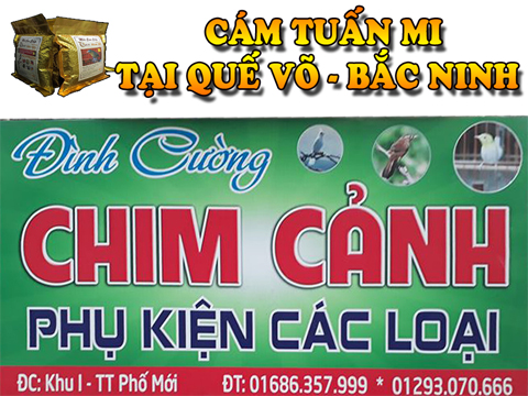 ĐẠI LÝ CÁM TUẤN MI TẠI QUẾ VÕ – TỈNH BẮC NINH  Anh Cường  Hotline: 01686.357.999  Khu 2 – TT Phố Mới – Quế Võ – Bắc Ninh