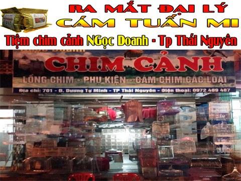ĐẠI LÝ CÁM TUẤN MI TẠI TP THÁI NGUYÊN