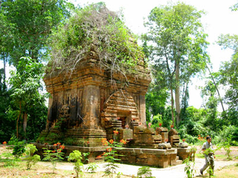 ĐẠI LÝ CÁM TUẤN MI TẠI ĐĂK LĂK