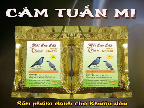 CÁM KHƯỚU ĐẤU
