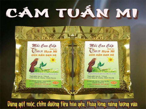 CÁM HỌA MI SỐ 0