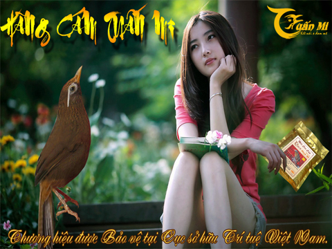 CÁCH CHĂM HỌA MI MÙA THAY LÔNG BẰNG CÁM TUẤN MI SỐ 1
