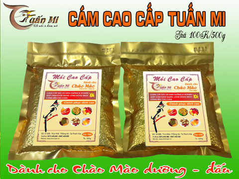 CÁM CHÀO MÀO SỐ 1