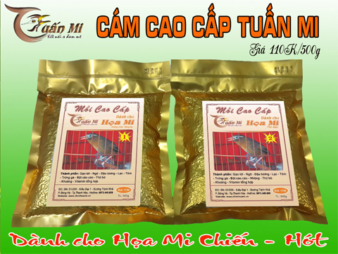 CÁM HỌA MI SỐ 1