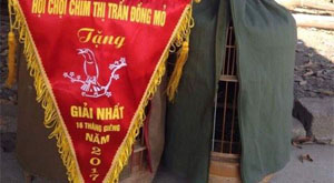 Giải Nhì Chi Lăng - Lạng Sơn