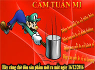 CÁM DINH DƯỠNG TUẤN MI